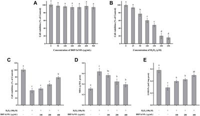 Ameliorative effect of Berberidis radix polysaccharide selenium nanoparticles against carbon tetrachloride induced oxidative stress and inflammation